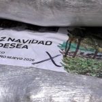 FB_IMG_1765312766745